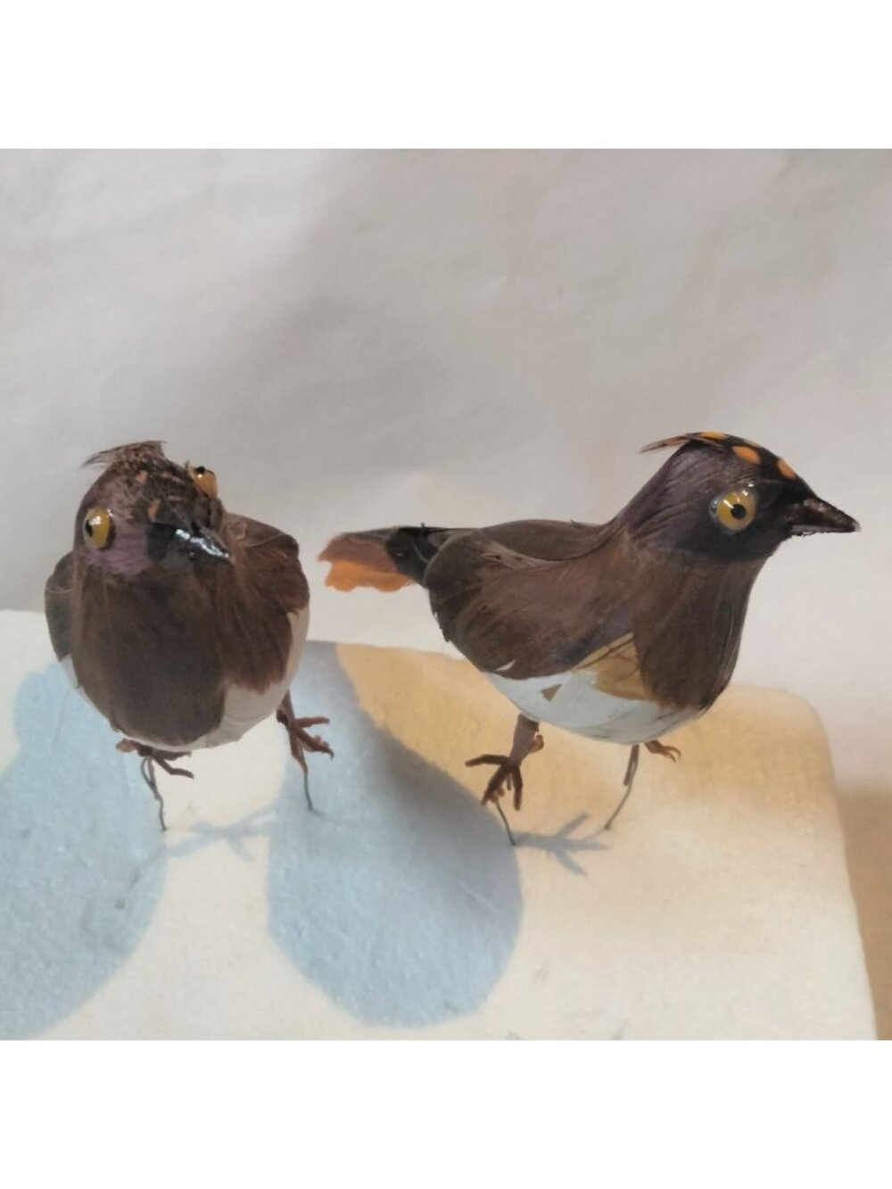 Decorative Tufted Birds Brown Orange Feathers Realistic Craft Display Lot 2
